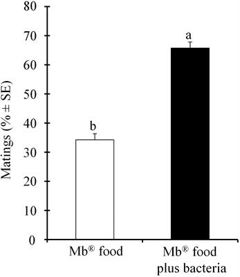 Attractiveness and Sexual Competitiveness of Anastrepha obliqua Males (Diptera: Tephritidae) Fed on a Diet Enriched With Providencia rettgeri